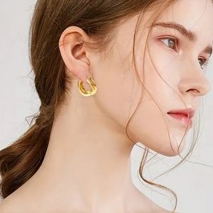 316 Stainless Steel 18K Gold Plated "Twisted" Hoop Earrings